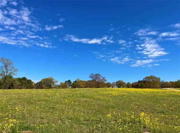 Big Sandy, TX 75755,Lot 49 White Oak