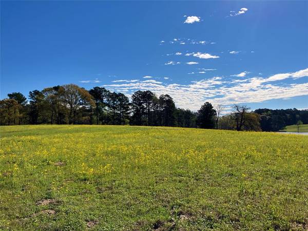 Big Sandy, TX 75755,Lot 49 White Oak