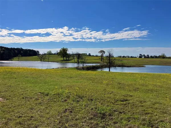 Big Sandy, TX 75755,Lot 49 White Oak