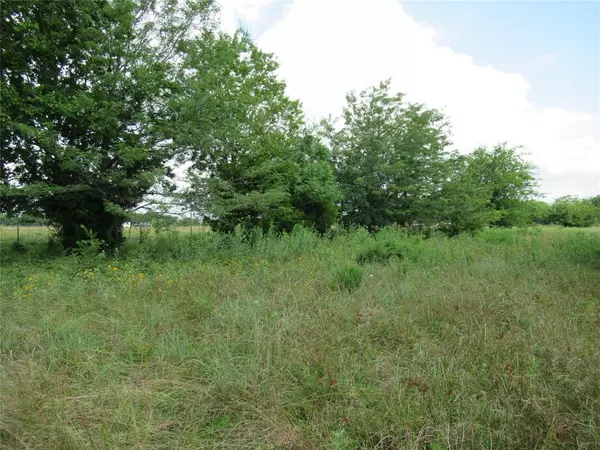 Lone Oak, TX 75453,10.00ac FM 2737