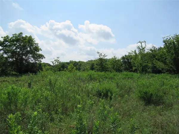 Lone Oak, TX 75453,10.00ac FM 2737