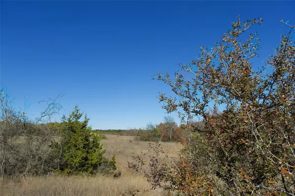 Forestburg, TX 76239,000 Dye Mound Road