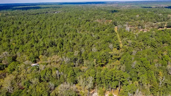 Huntsville, TX 77340,TBD 1.8 Ac Gourd Creek Drive