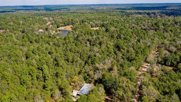 Huntsville, TX 77340,TBD 1.8 Ac Gourd Creek Drive