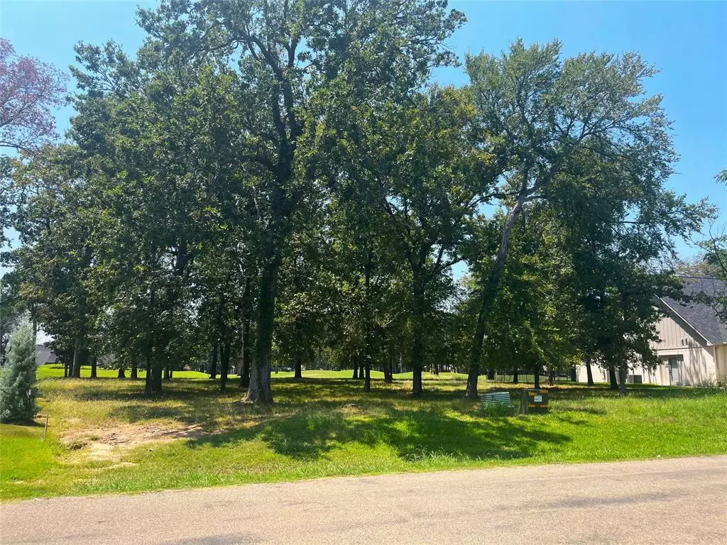 Mabank, TX 75156,213 Saint Andrews Drive