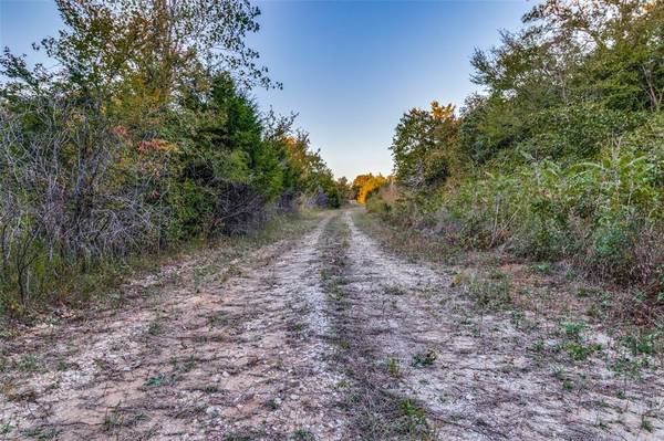 Gainesville, TX 76240,TBD County Road 174