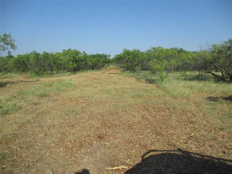 Tr 2 Big Sandy, Bowie, TX 76230