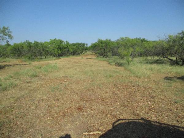 Tr 2 Big Sandy, Bowie, TX 76230