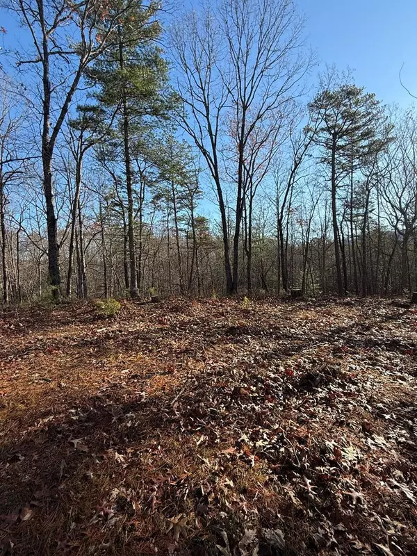 Mineral Bluff, GA 30559,Lot 32 Crabapple Lane