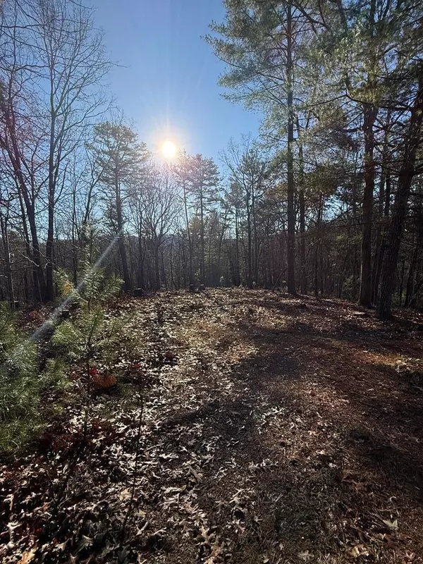 Mineral Bluff, GA 30559,Lot 32 Crabapple Lane