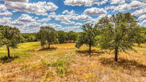 Poolville, TX 76487,TBD 12 Sedona Creek Court