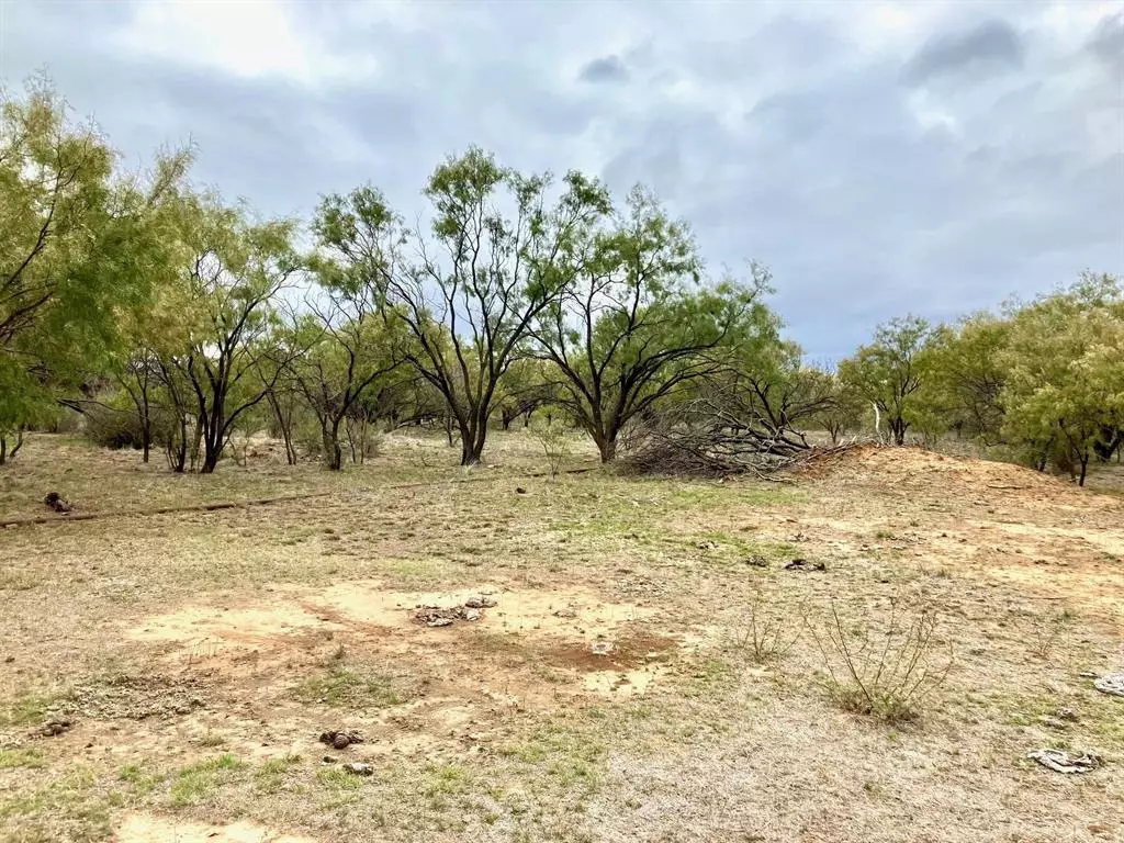 Moran, TX 76464,25AC Tract 2 Hwy 6