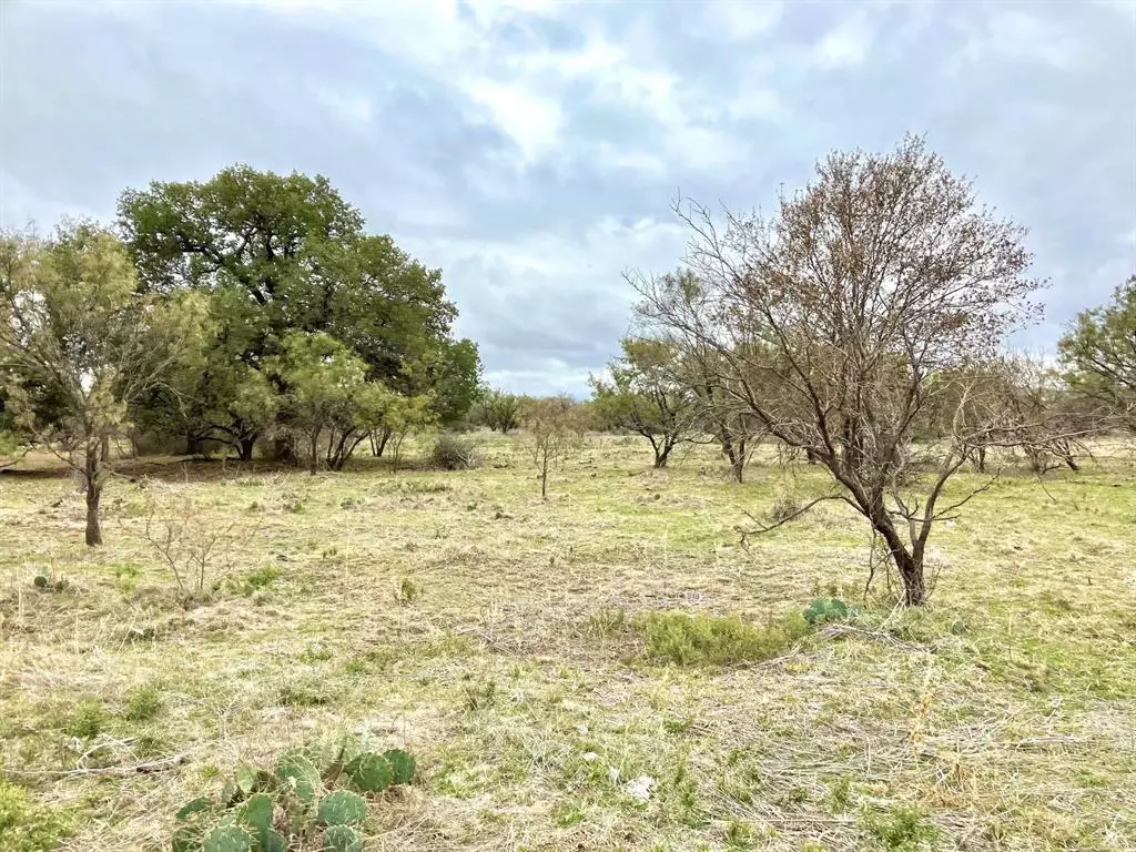 Moran, TX 76464,25AC Tract 3 Hwy 6