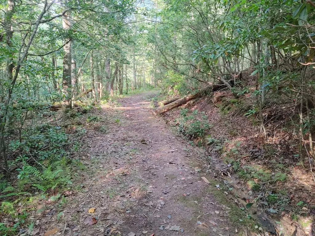 Mineral Bluff, GA 30559,0 Kaleb Trail