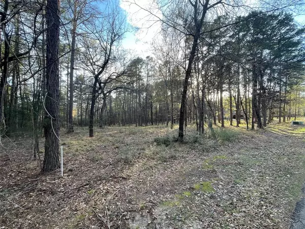 Tyler, TX 75707,14664 Jade Forest Trail