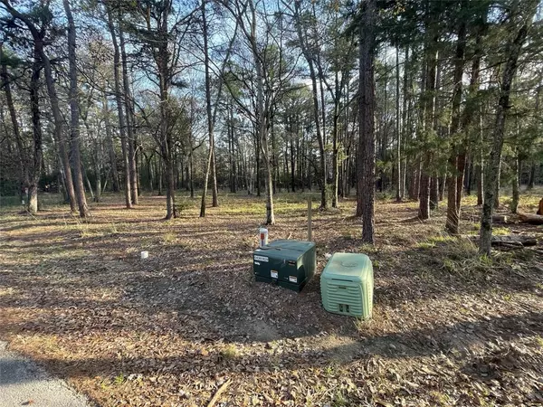 Tyler, TX 75707,14664 Jade Forest Trail