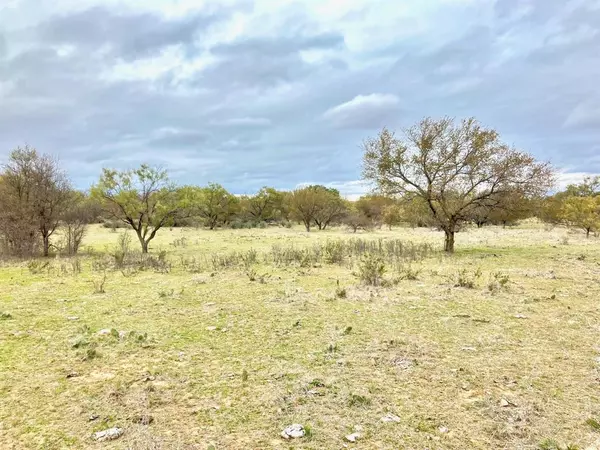 Moran, TX 76464,25AC Tract 2 Hwy 6