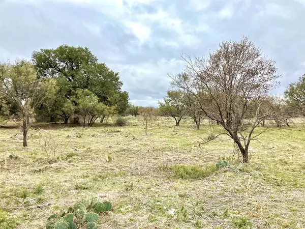 25AC Tract 3 Hwy 6, Moran, TX 76464