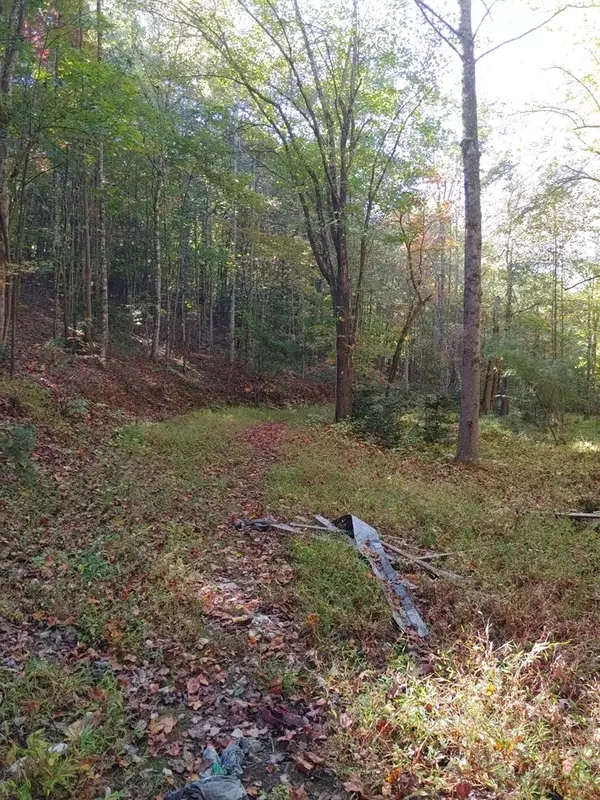 Mineral Bluff, GA 30559,0 Kaleb Trail