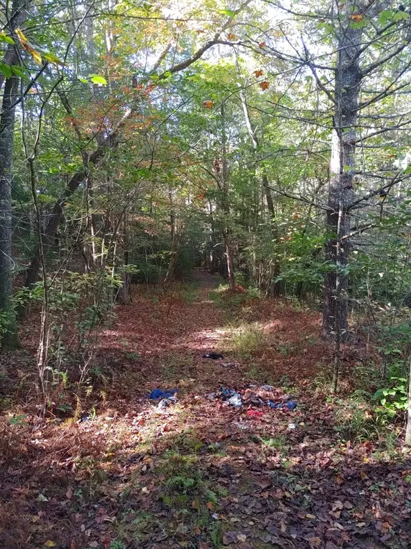 Mineral Bluff, GA 30559,0 Kaleb Trail