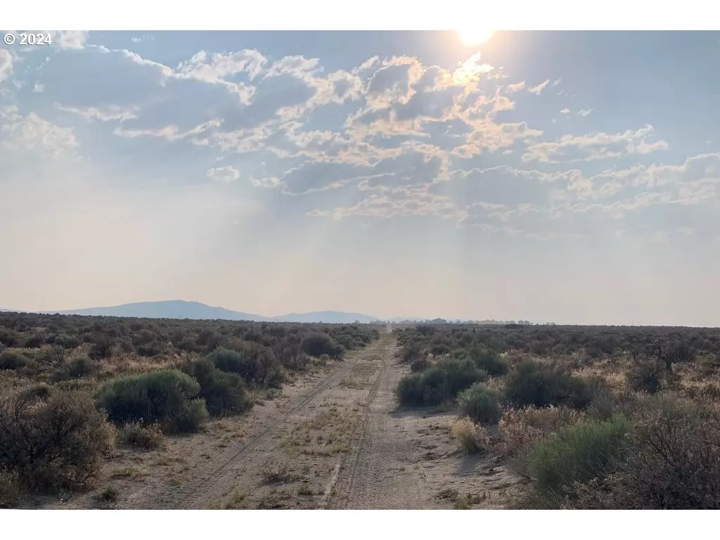 Christmas Valley, OR 97641,Oil Dry RD #700