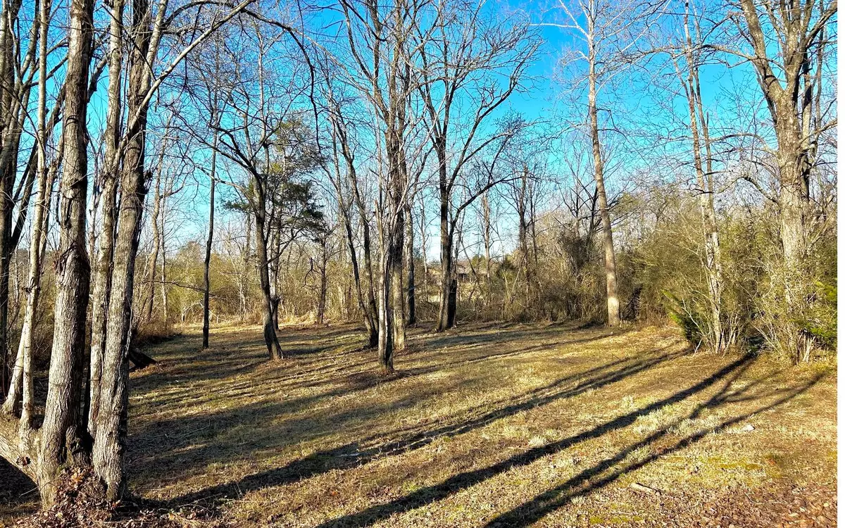 Young Harris, GA 30582,LOT 11 Willow Springs Road