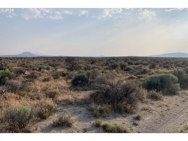 Christmas Valley, OR 97641,Oil Dry RD #700