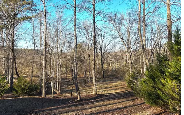 Young Harris, GA 30582,LOT 11 Willow Springs Road