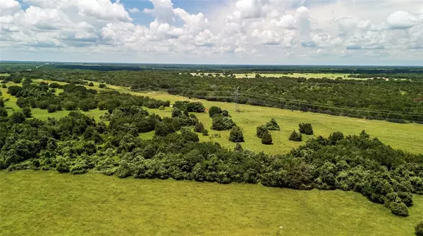 Tract 4 10 AC Fm-1366, Wortham, TX 76693