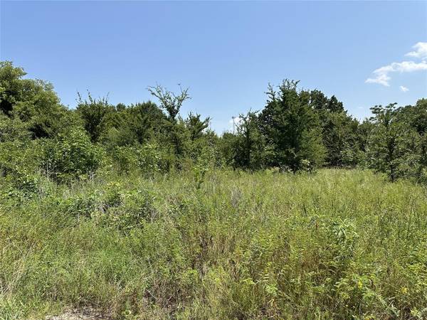 Lot 429 TBD Private Road 7028, Wills Point, TX 75169