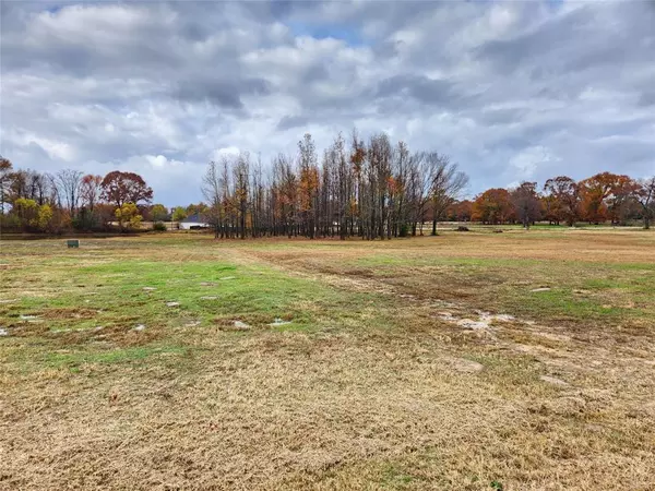 Mineola, TX 75773,LOT 23 CR 2230