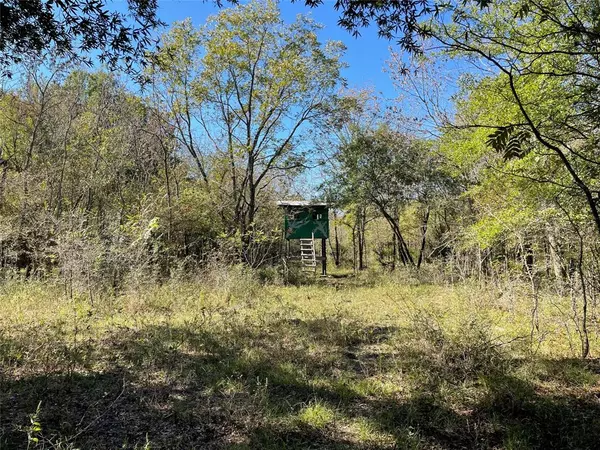 Commerce, TX 75428,TBD County Rd 4614 Road