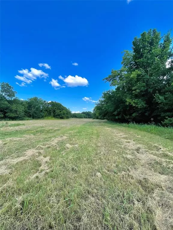 Honey Grove, TX 75446,11 TBD CR2770 CR 2770