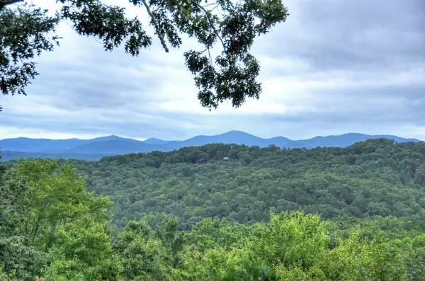 Blue Ridge, GA 30513,205 Eagles Nest Mountain Road