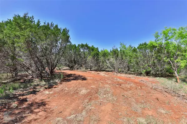 Ovalo, TX 79541,TBD CR 207