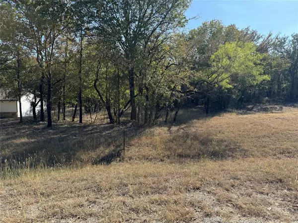 Lot 7 Port-O-Call Drive, Runaway Bay, TX 76426