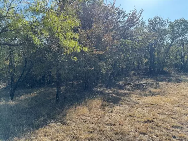 Runaway Bay, TX 76426,Lot 7 Port-O-Call Drive