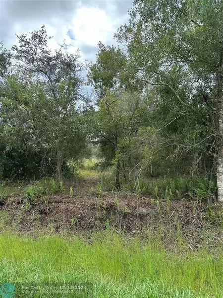 17376 NW 256TH, Okeechobee, FL 34972