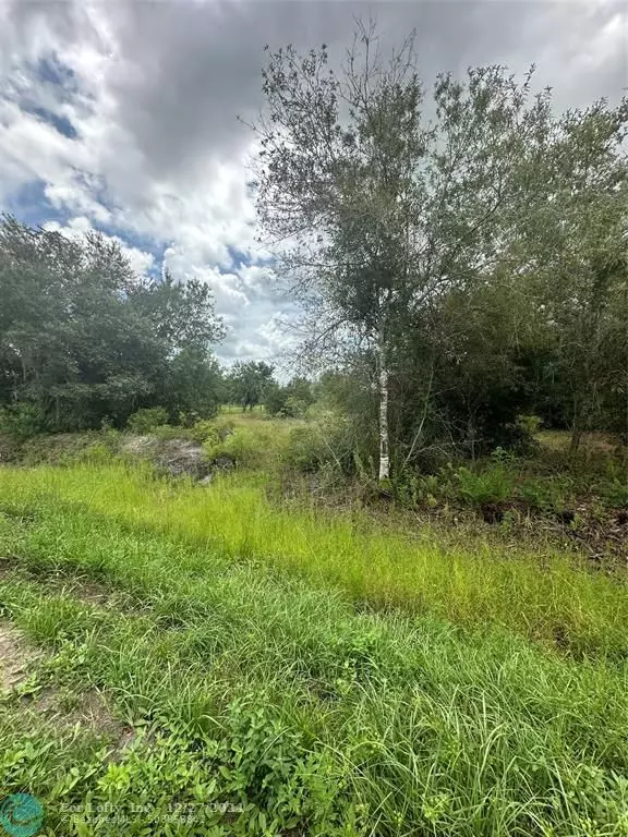 Okeechobee, FL 34972,17376 NW 256TH