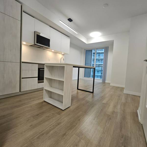 8 Widmer ST #3609, Toronto C01, ON M5V 0W6