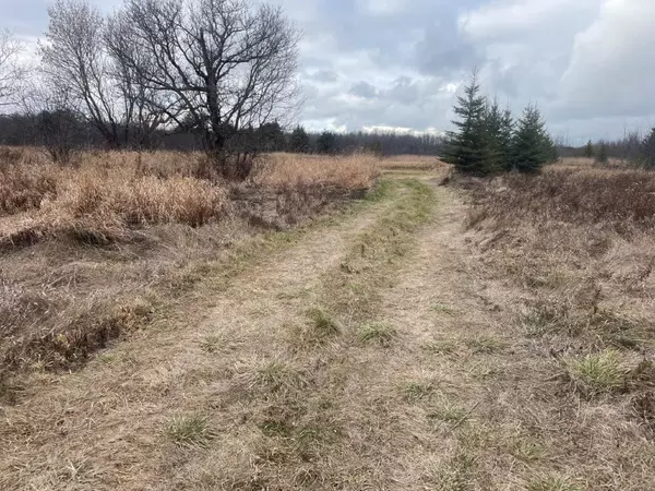 Brock, ON L0K 1A0,PT16 Concession 17 Side Road