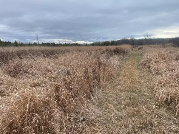 Brock, ON L0K 1A0,PT16 Concession 17 Side Road