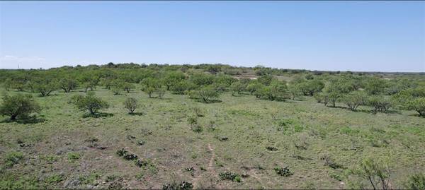 Baird, TX 79504,TBD HWY 283 SOUTH Highway