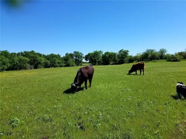 Kopperl, TX 76652,tbd COUNTY ROAD 2800