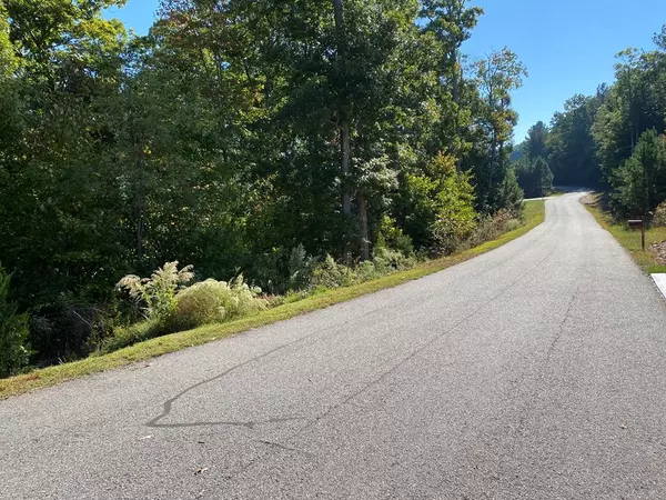 Lot 201 Lola Drive, Blairsville, GA 30512