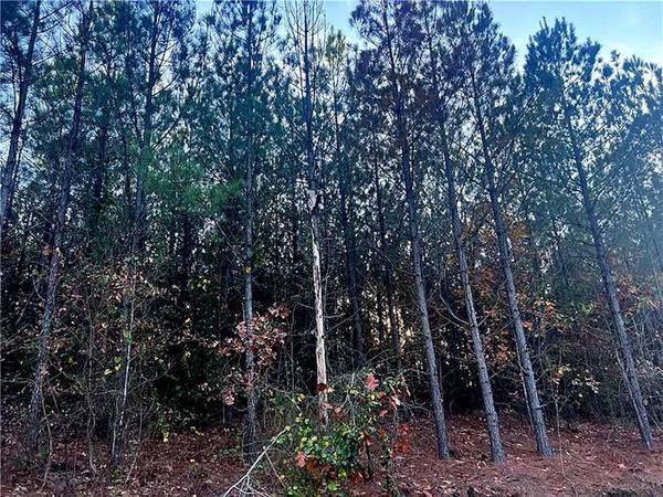 160 Red Fern Trail #Lot 38, Broken Bow, OK 74728