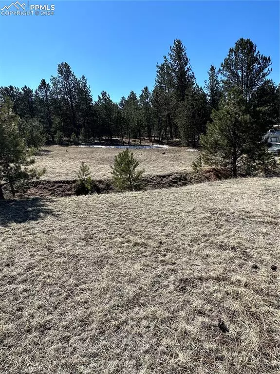 Florissant, CO 80816,189 Rhyolite LN