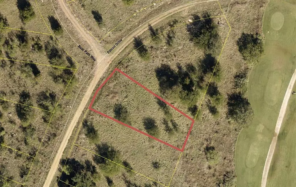 Brownwood, TX 76801,TBD59 Falcon Drive