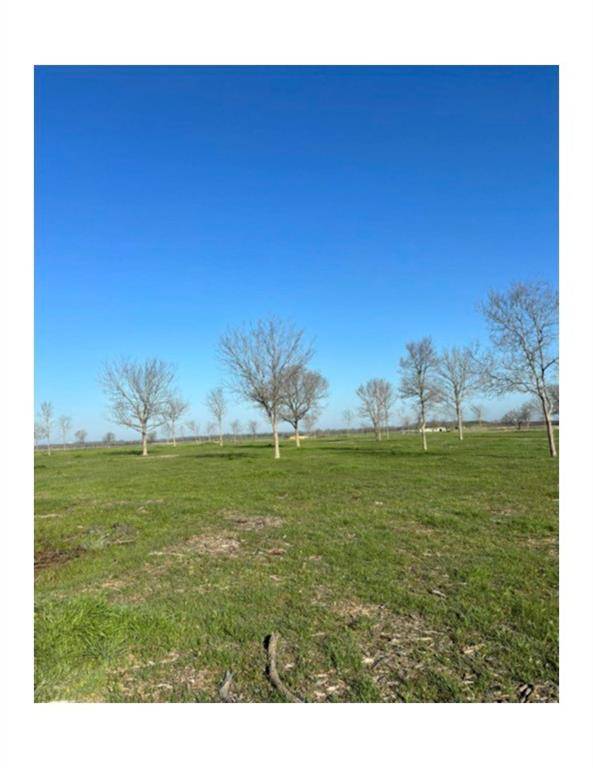 Lot 174 and Boat Slip #7 Waterfront Club, Corsicana, TX 75109