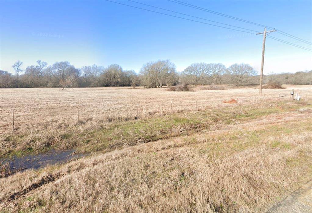 Tennessee Colony, TX 75861,TBD Tract 2 FM 321